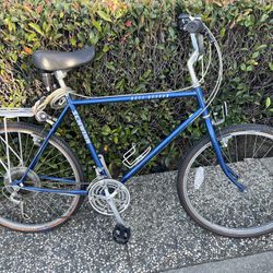 Tall Schwinn Gravel Bike Rack 