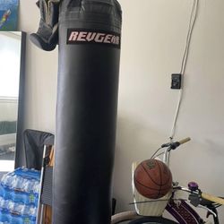 MMA Kicking Punching Bag