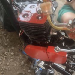 100cc Motorized Bicycle 