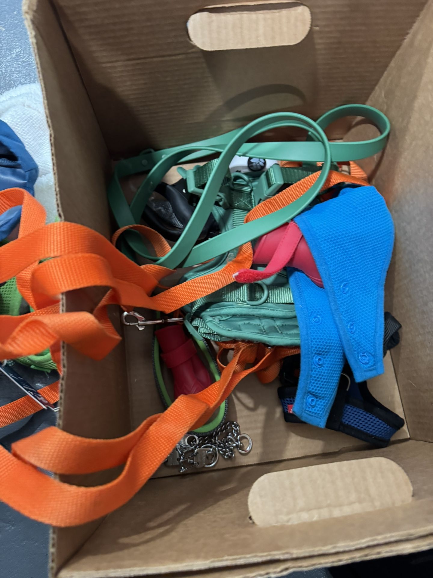 various items for medium and small dogs