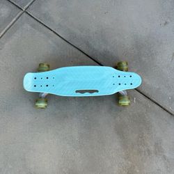 Mini Skateboard 