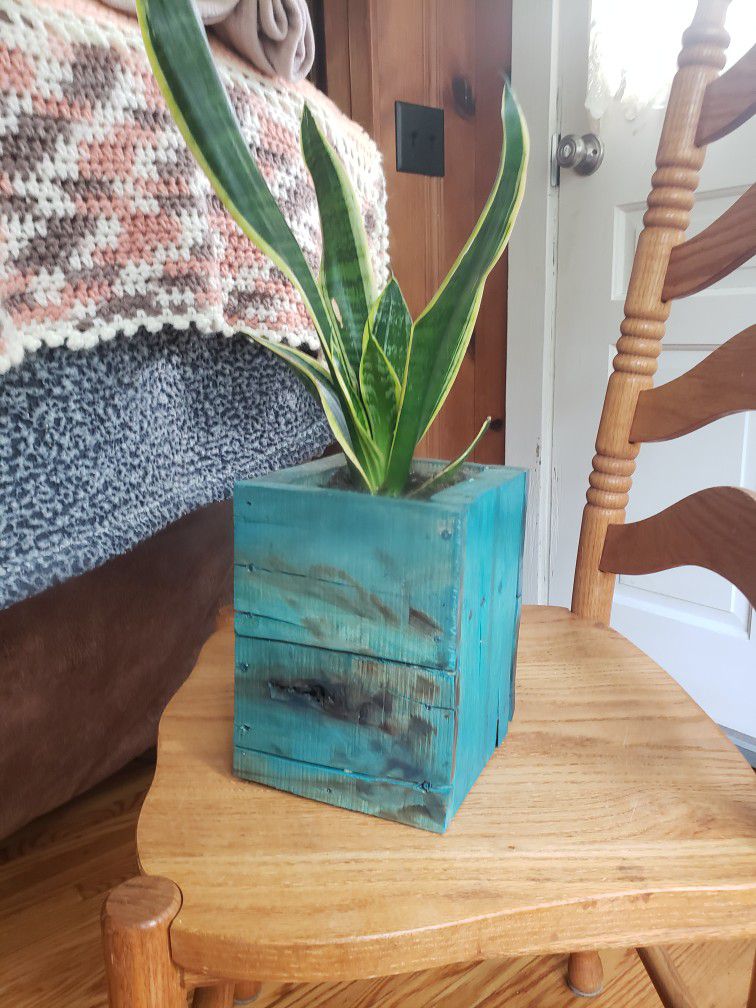 Hand Made Wooden Planter And Snake Plant
