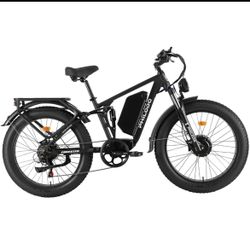 Dual Motor E Bike