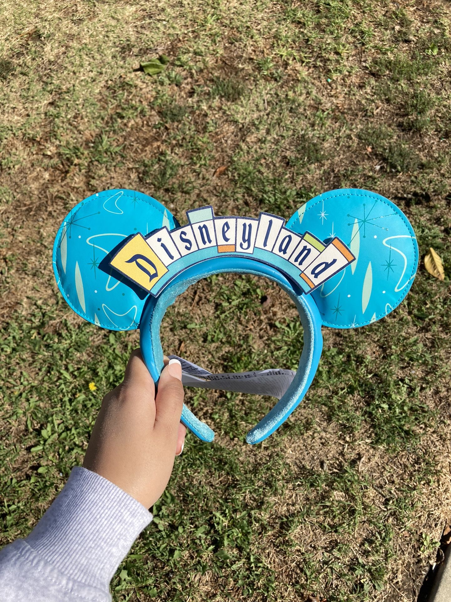 Disney Ears