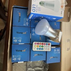Variety Lightbulb Kilt with LED and CFL Maps and Various Sockets