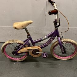 Free Kids Bike