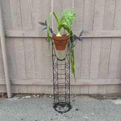 Plant Stand