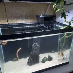 10 Gallon  Fish Tank 