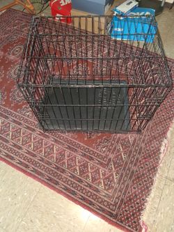 Folding pet crate pickup only cash