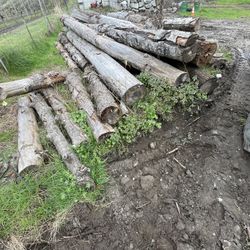 Logs For Sale 