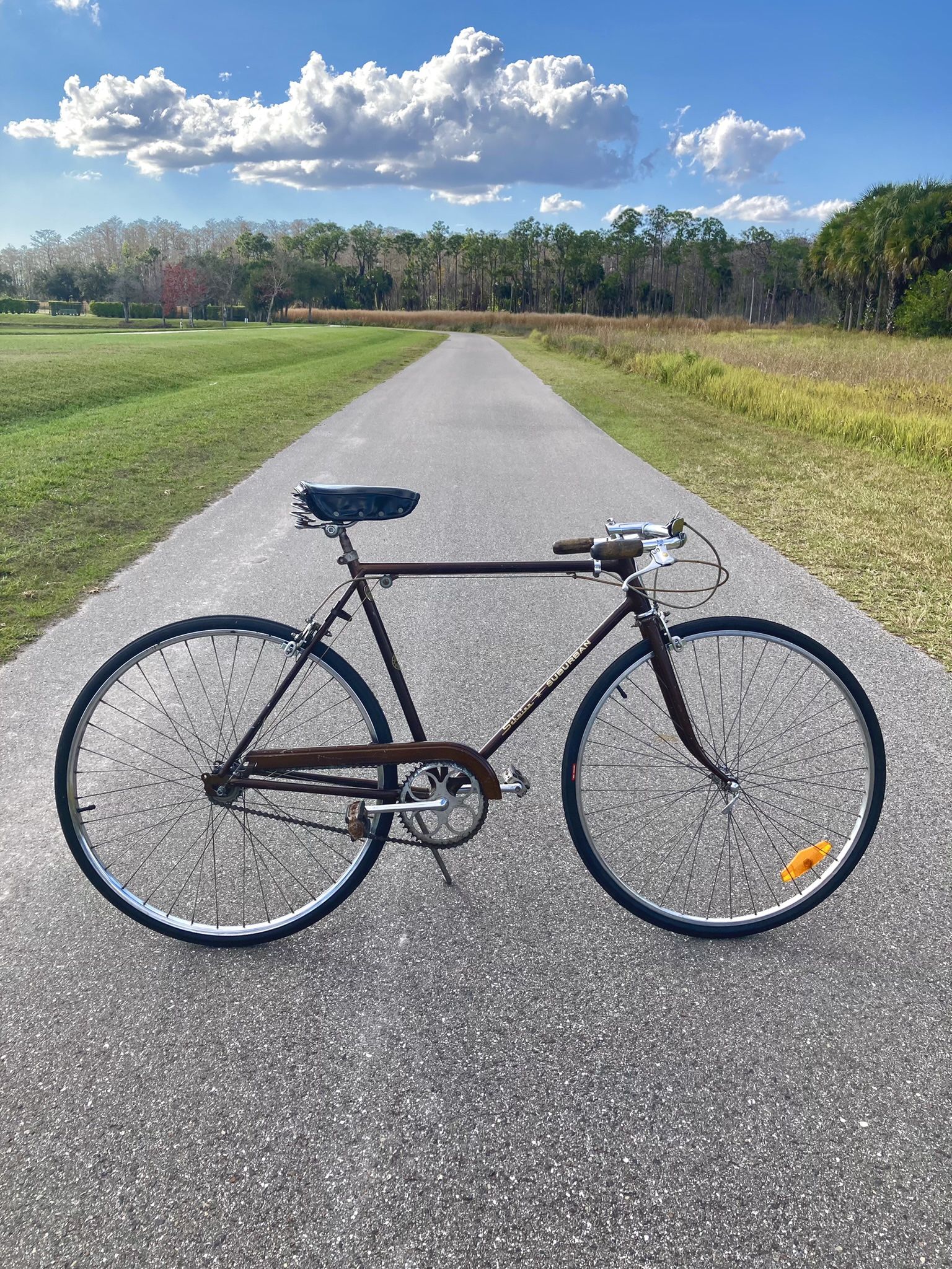 Vintage Custom Schwinn