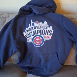 Chicago Cubs 2016 World Series Champions Hoodie