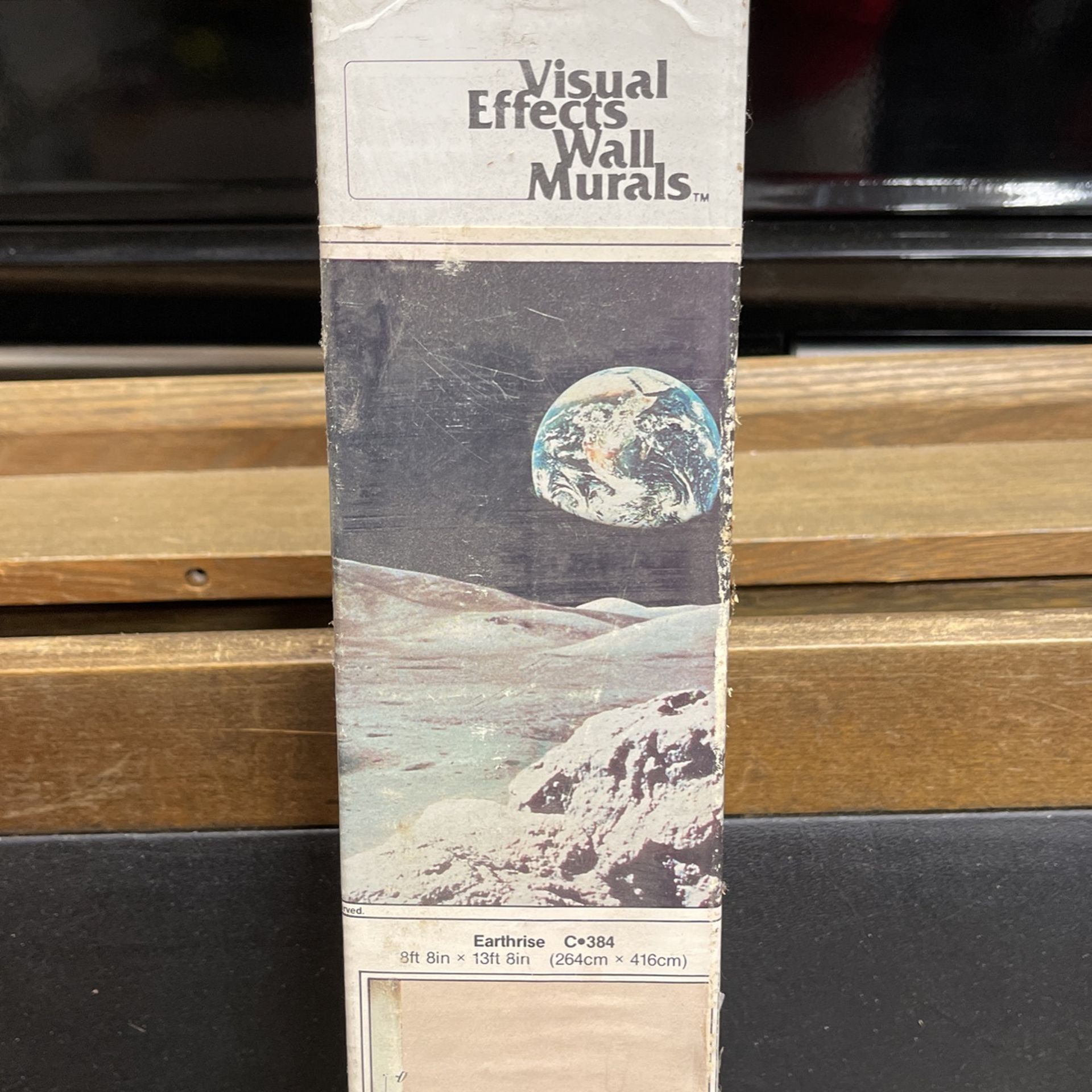 Wall Mural Moon With Earth Rising
