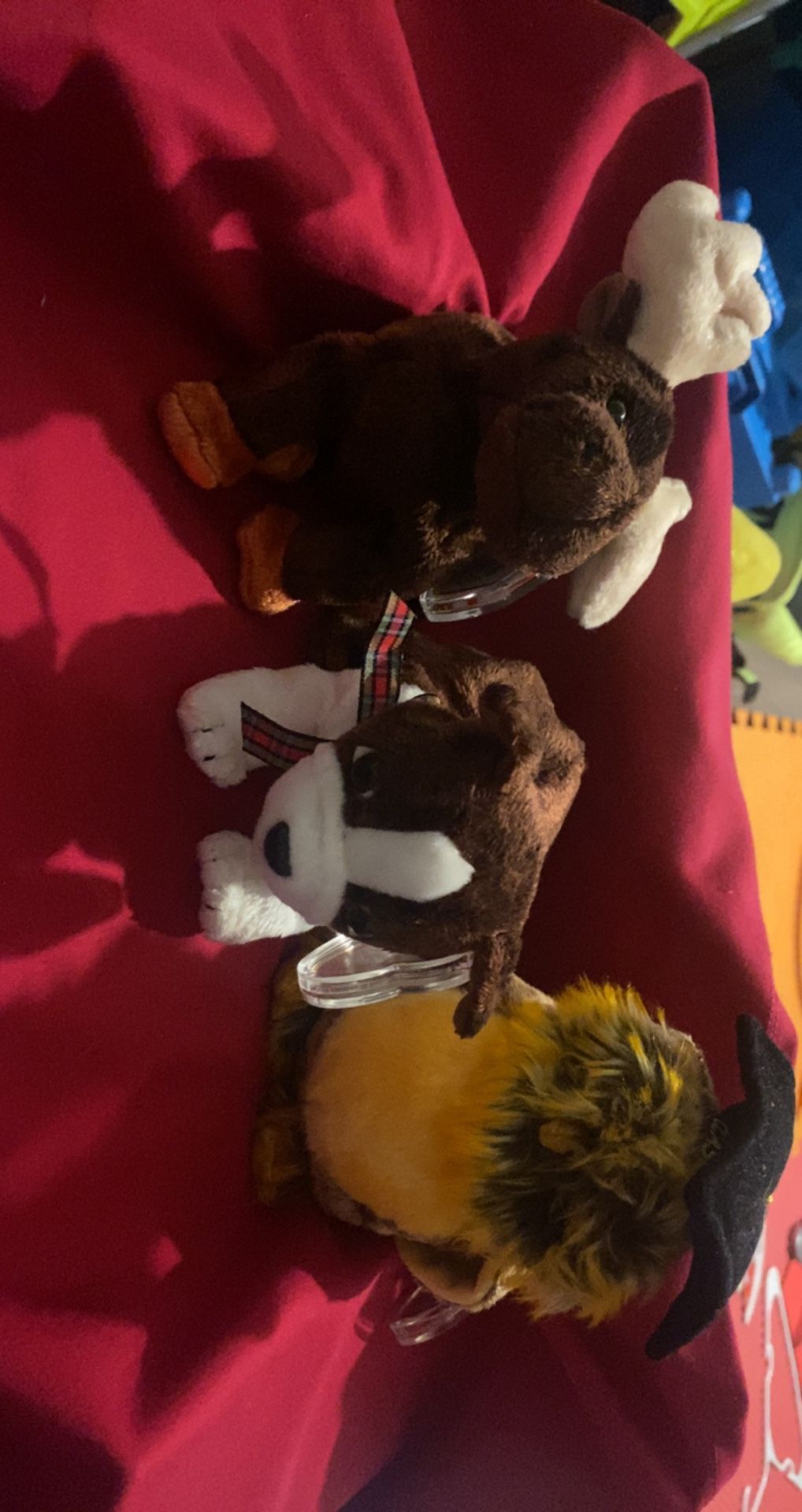 Beanie Babies 10 Years