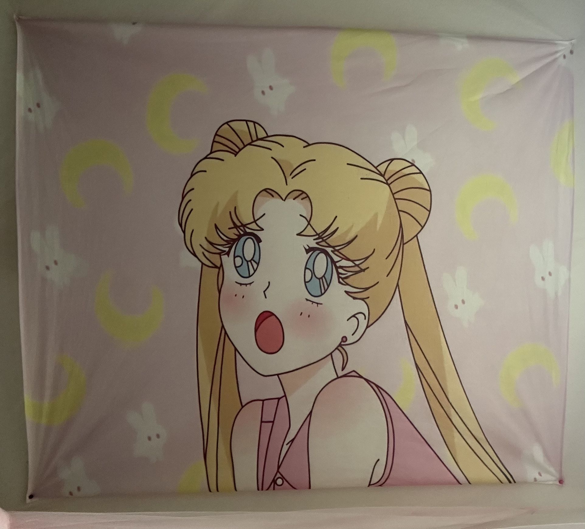 Sailor Moon Tapestry 