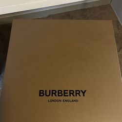 Large Burberry Purse