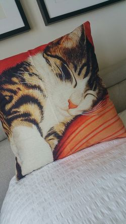 Kitten Pillow Couch Bed Chairs