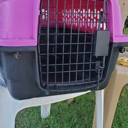 Dog House 