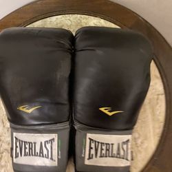 Everlast Boxing Gloves 