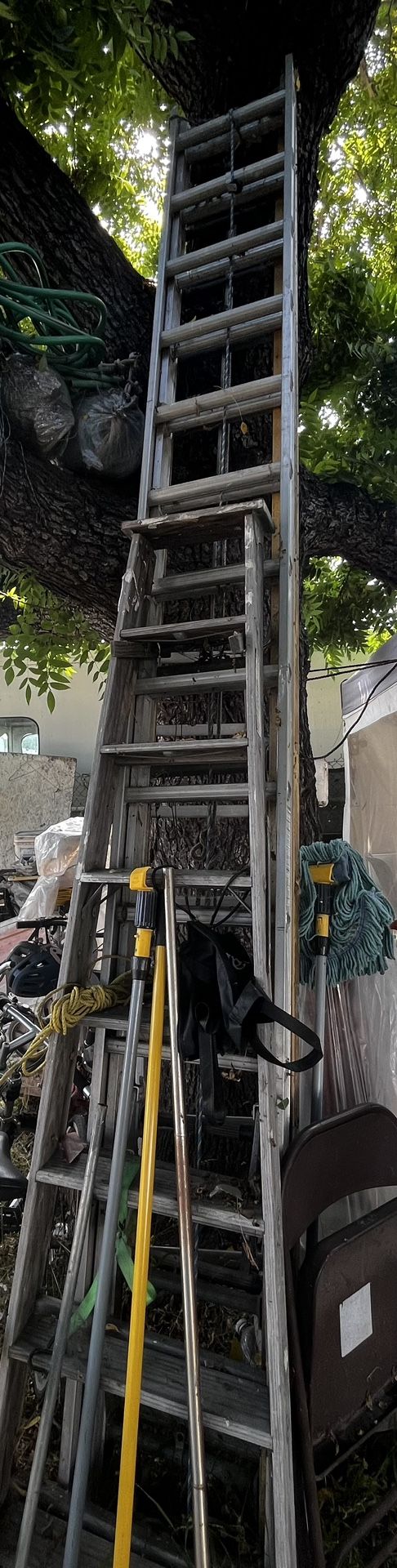 Ladder