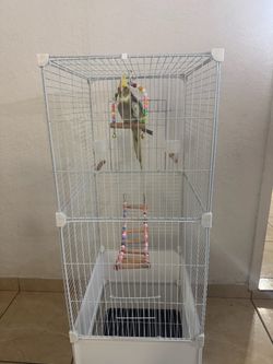 Jaula para pajaritos
