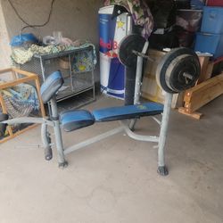 Weights And Bench 