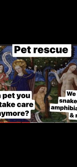 Picture Frame Pet Animals Art Work