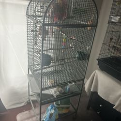 Two Bird Cages + Toys & Food – For Sale