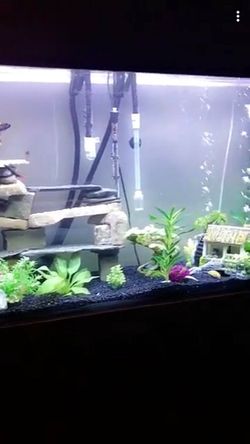 Fish tank