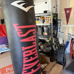 Everlast Punching Bag 