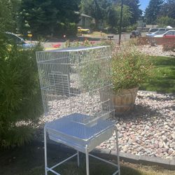 Bird Cage