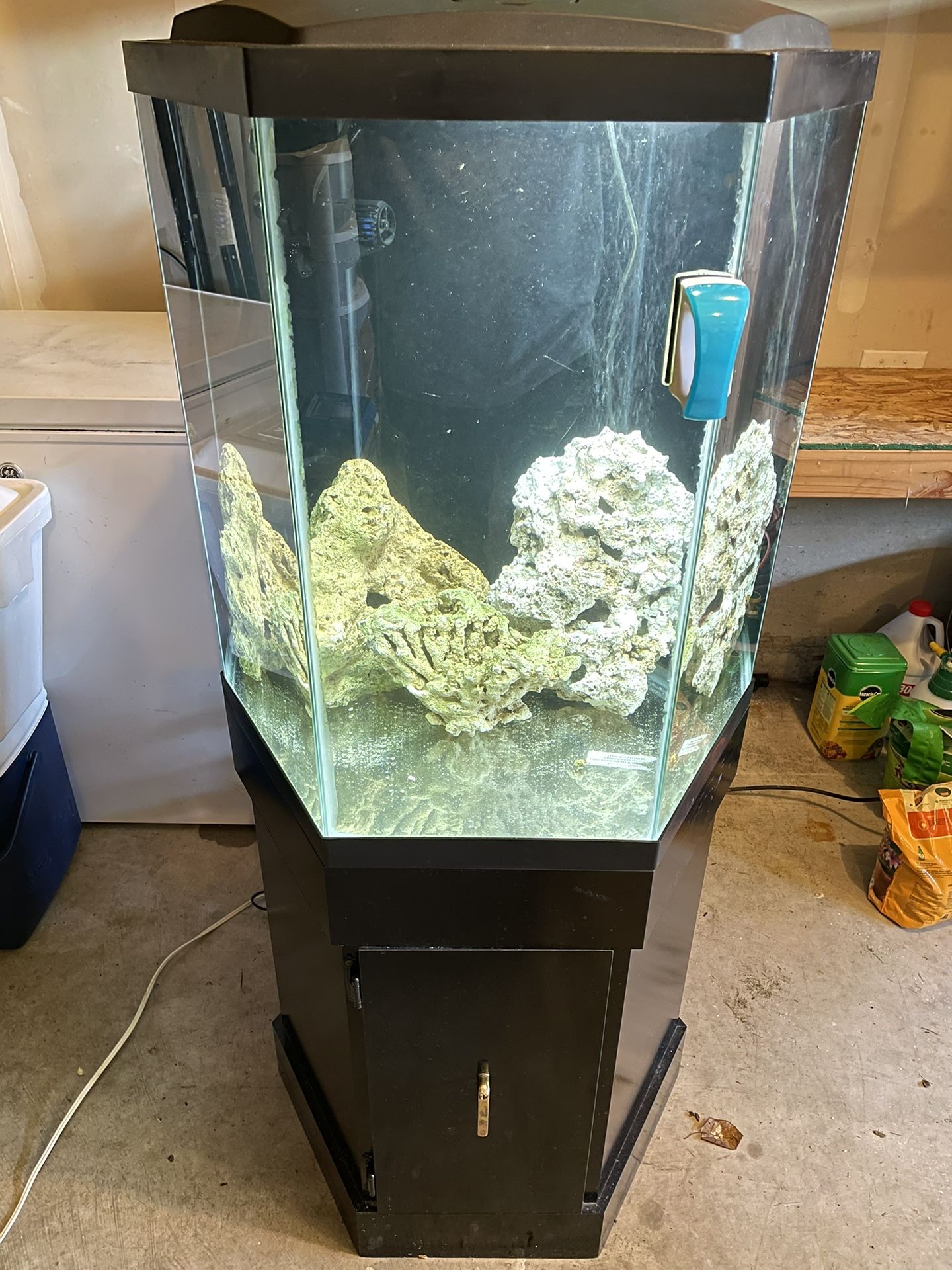 30 Gallon Hexagon Aquarium Fish Tank