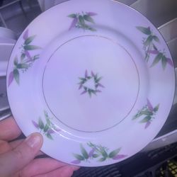 Dish/china Set