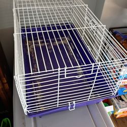 Guinea Pig Cage 