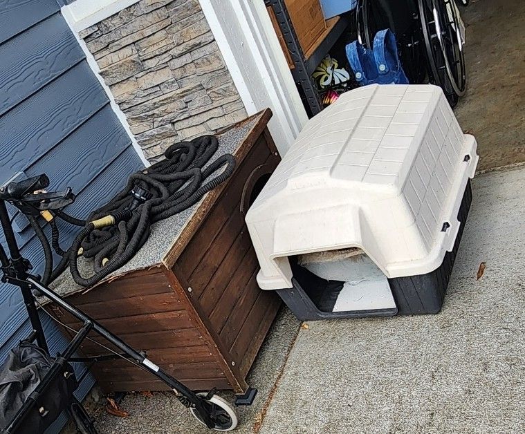 Dog House