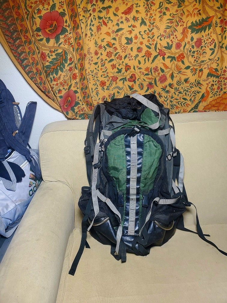 Gregory Backpack