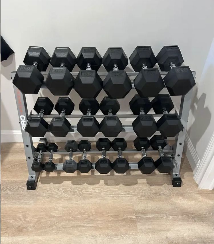 Rogue Fitness 5-50 Complete Set Of 10 Pairs Of Rubber Hex Dumbbells