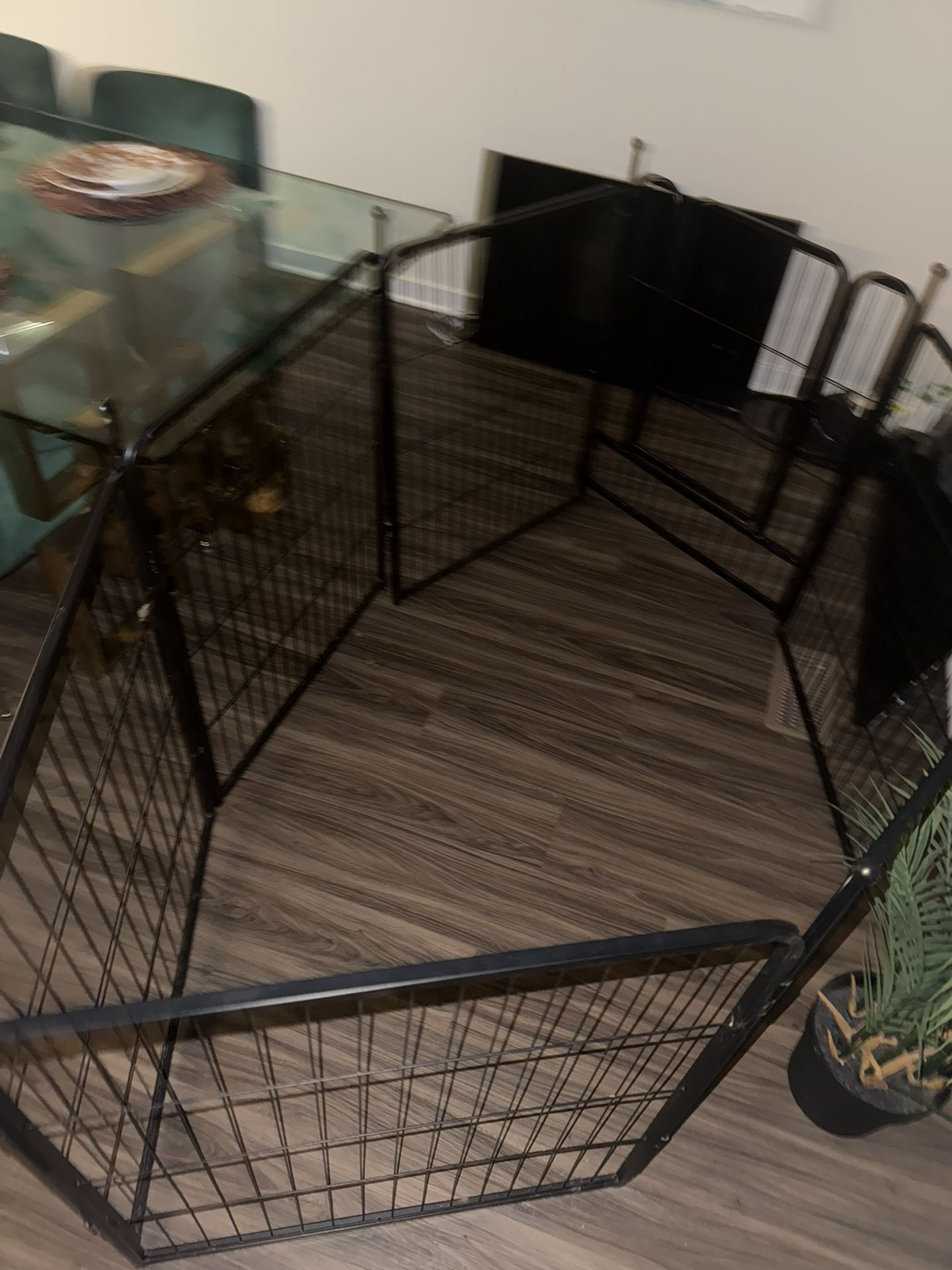 Dawg Cage