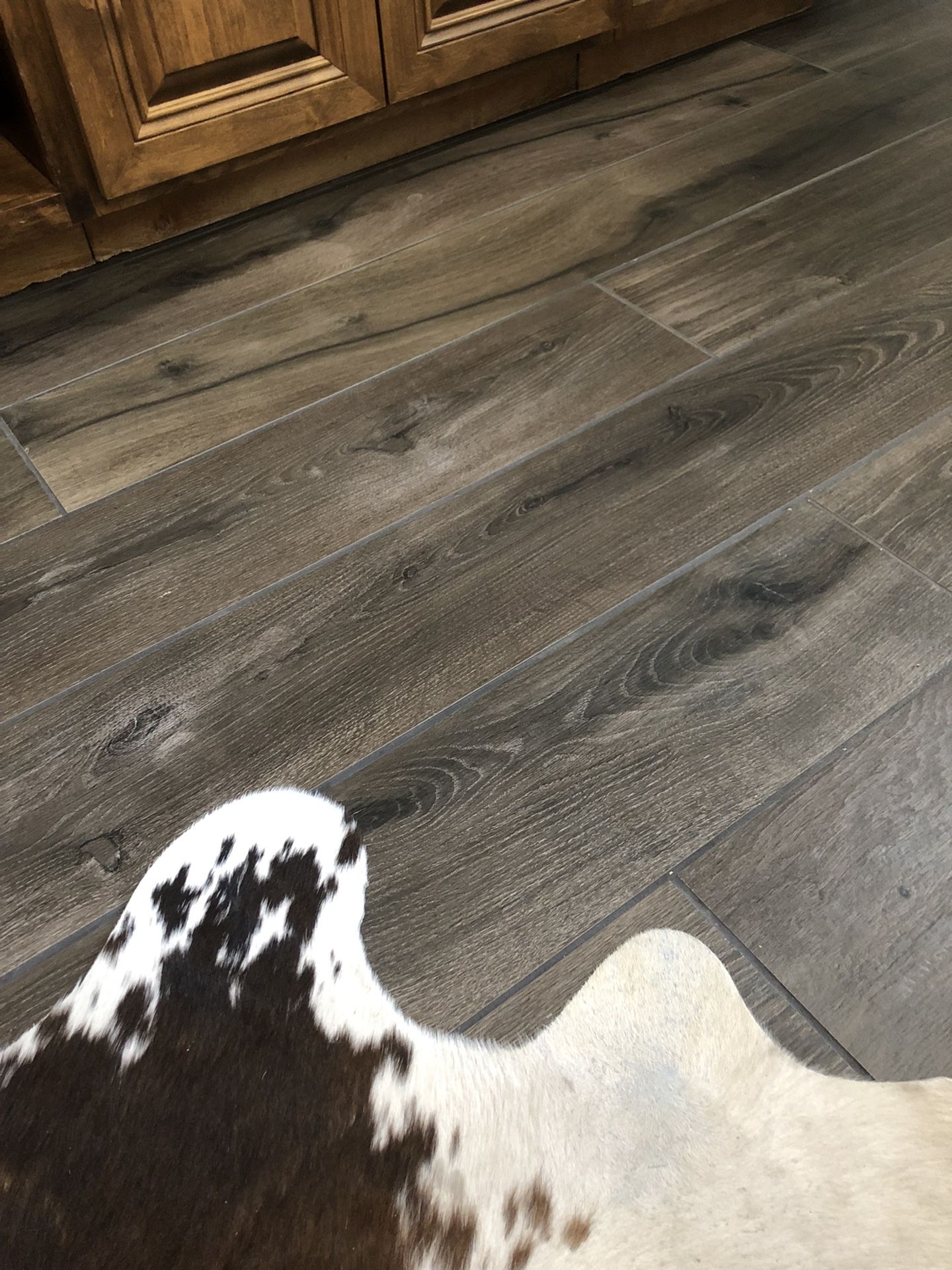 Ariana Legend brown ceramic tile