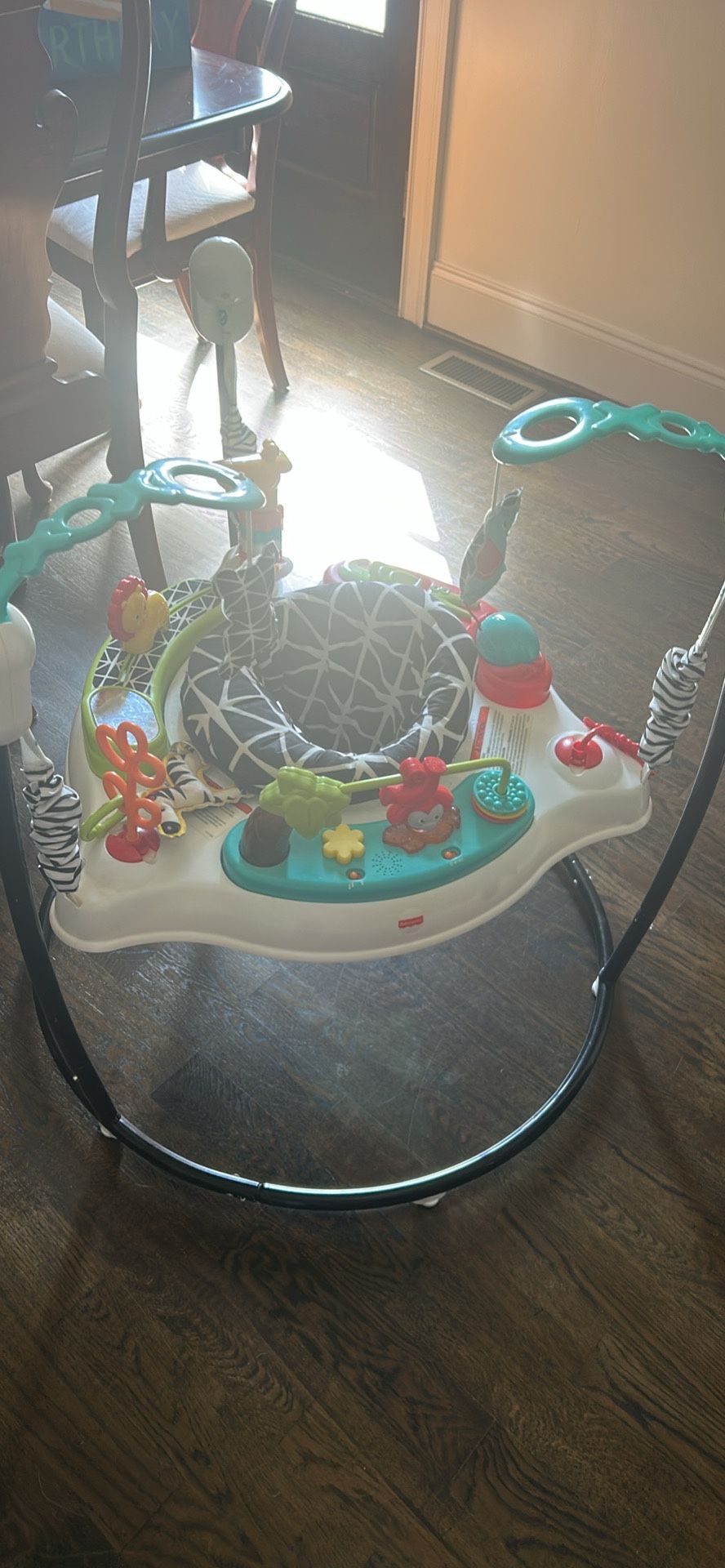 Baby Jumper / Activity Center