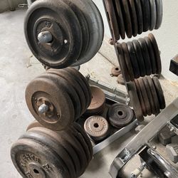 Iron Weights  you get this whole rack and the ones on the ground