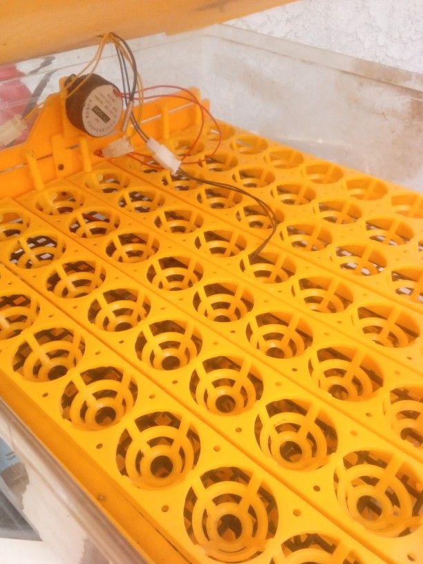 Incubator Fo Chickens Ducks Ect...