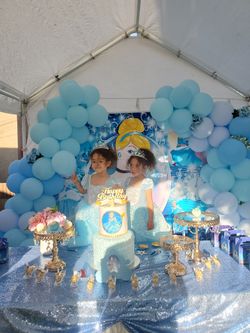 Cinderella Dresses 2 For $45 Or 1 For $25, My Twins Used This To Celebrate Their 4th Birthday.