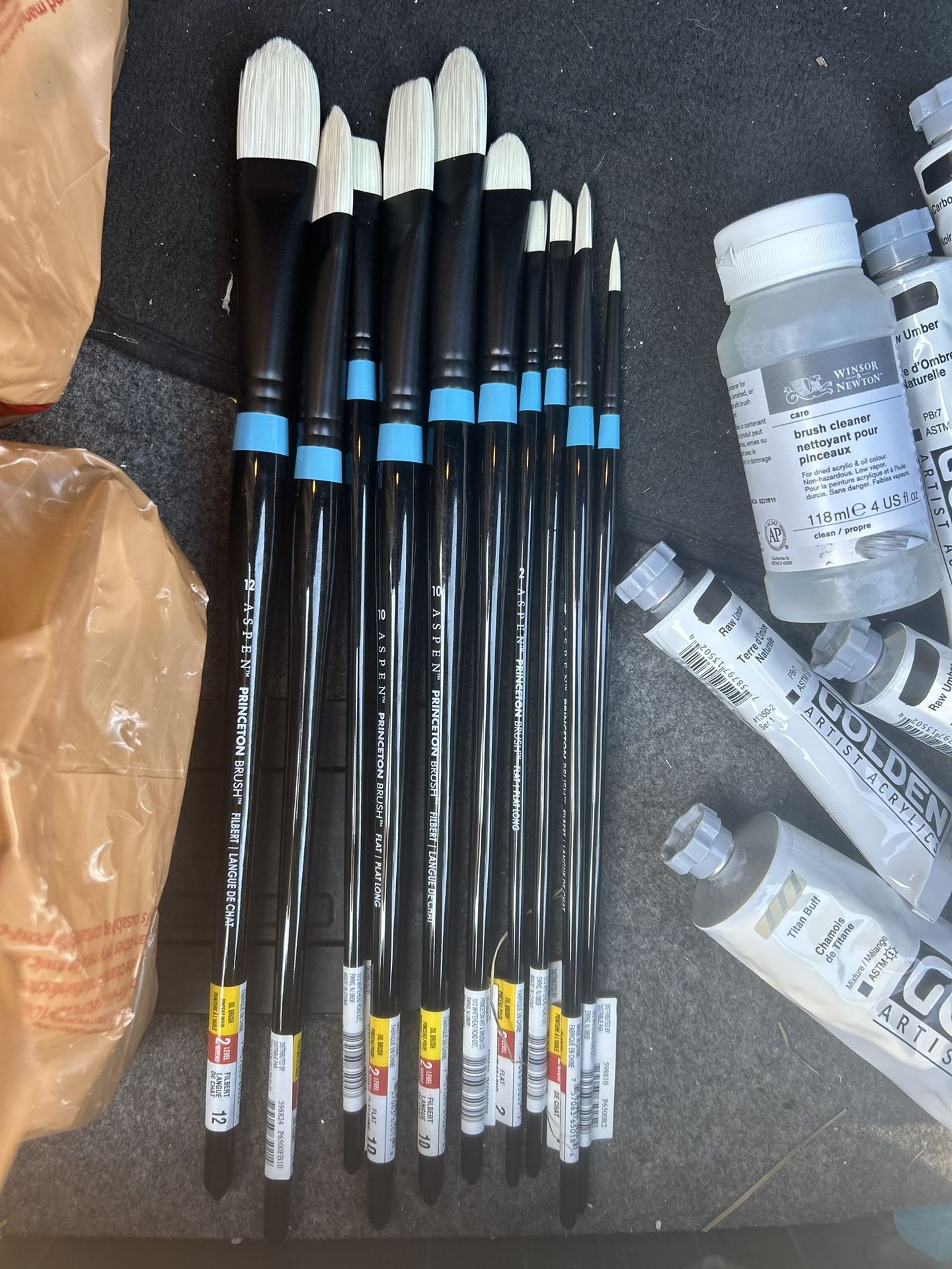 Princeton Oil Paint Brushes Brand New