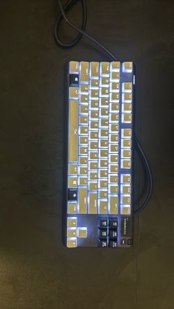 Steel series Apex Pro tkl with hyperx rgb keycaps and steel series rival 600 rgb gaming mouse