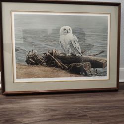 Robert Bateman Snowy Owl On Driftwood