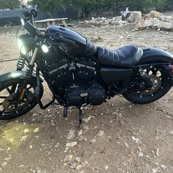 2017 Harley davidson Sportster Iron 883