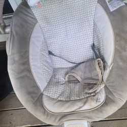 Baby Bouncer