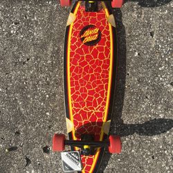 Santa Cruz Flame Ringed pintail cruiser complete Skateboard 