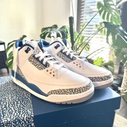 Jordan 3s Wizards Brand New Sz 9